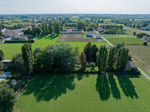 Il giardino secolare visto dall'alto